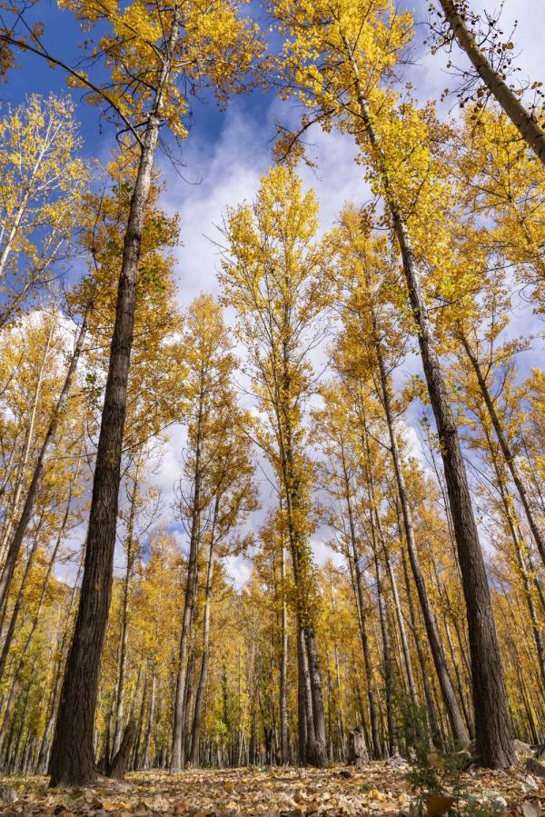 跟我，踏上最美“景觀大道”