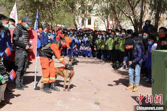 圖為搜救犬服從和箱體搜救演練。　趙琳 攝