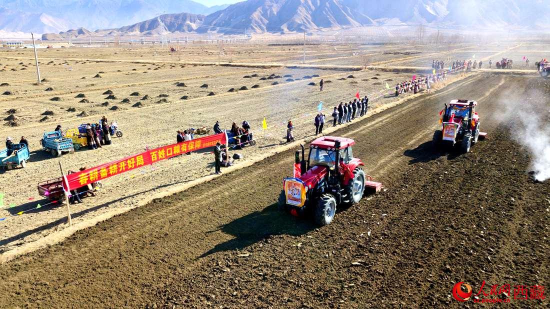 山南市扎囊縣扎其鄉(xiāng)孟卡榮村迎來春耕第一犁。人民網(wǎng) 次仁羅布攝