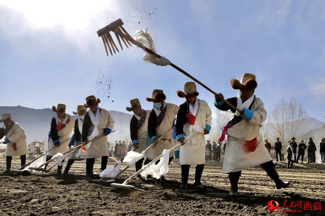 當?shù)卮迕裆碇?jié)日盛裝，舉行春耕儀式。人民網(wǎng) 次仁羅布攝