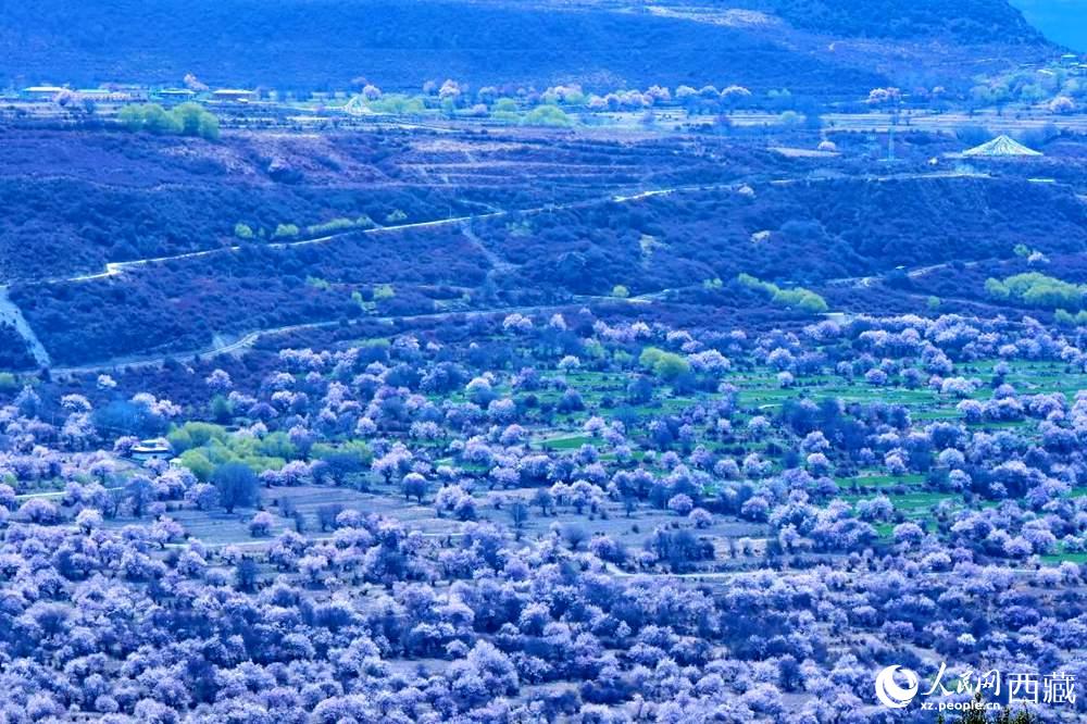 遠(yuǎn)眺“桃花村”。人民網(wǎng) 李海霞攝