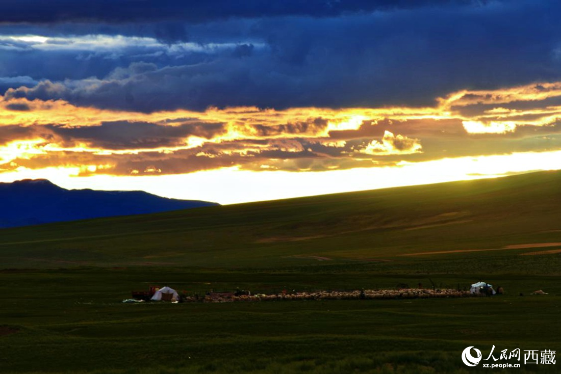 黃昏下的帳篷，牧民過著幸福生活。 人民網(wǎng) 李海霞攝