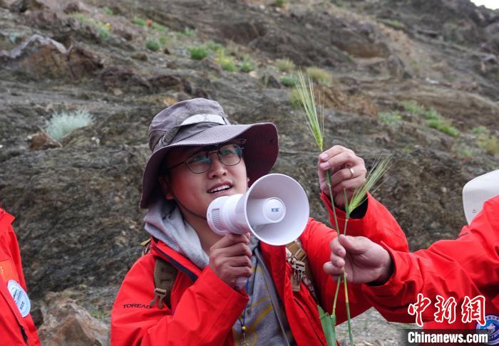 青藏科考：青稞如何走上青藏高原？