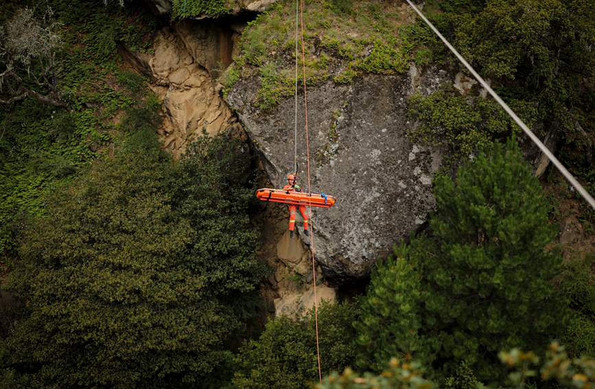叢林中的橙色身影。西繞拉翁攝