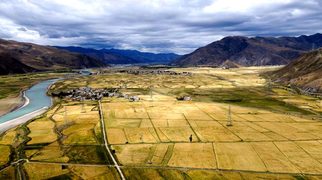 等待豐收的田野。洛克攝