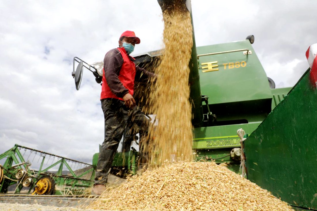 顆粒歸倉。洛克攝