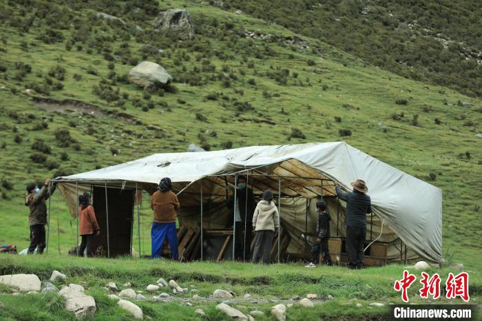 圖為牧民們在秋季牧場搭建帳篷?！÷蹇?攝