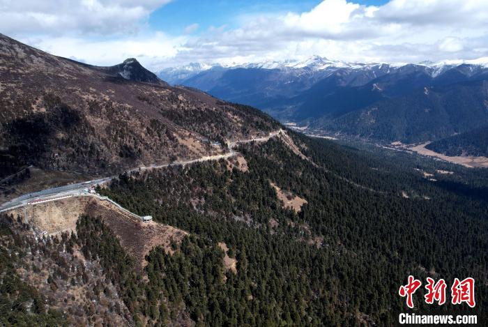 2月17日，西藏林芝魯朗林海。(無人機照片) 李林 攝