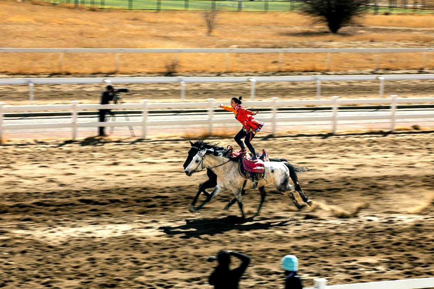 藏歷新年，精彩的馬術(shù)表演。張靜攝