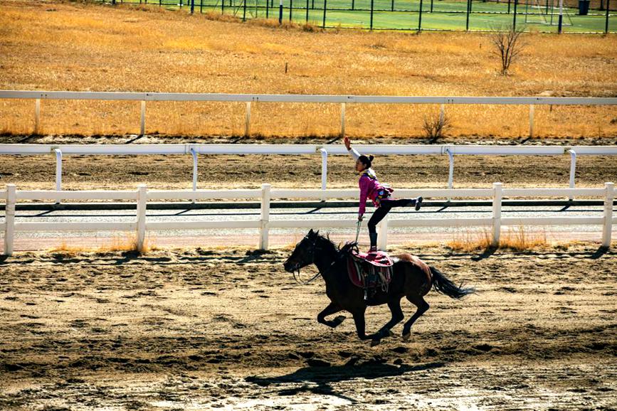 藏歷新年，精彩的馬術(shù)表演。張靜攝