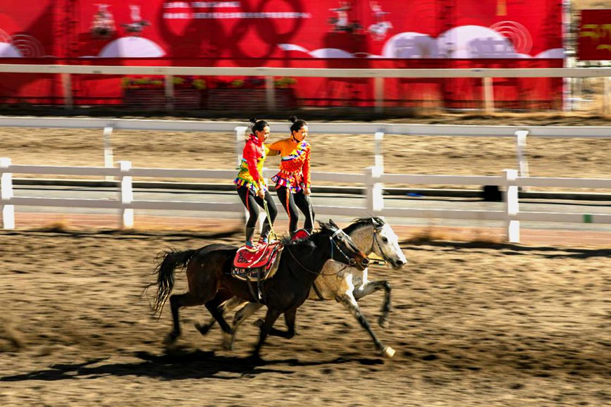 藏歷新年，精彩的馬術(shù)表演。張靜攝