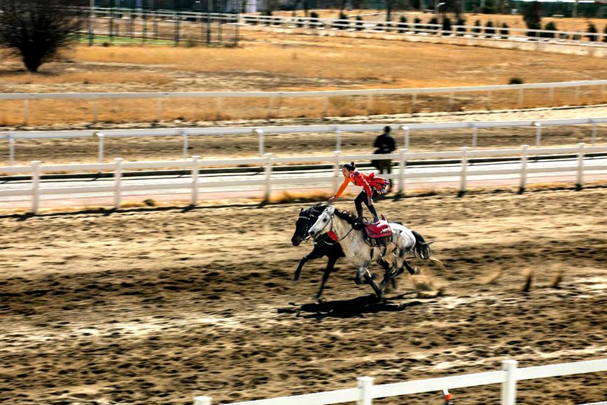 藏歷新年，精彩的馬術(shù)表演。張靜攝
