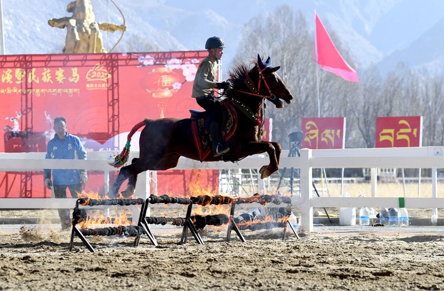 藏歷新年，精彩的馬術(shù)表演。潘多攝
