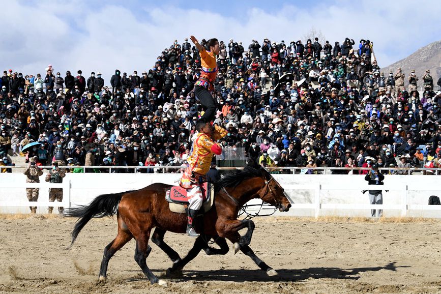 藏歷新年，精彩的馬術(shù)表演。潘多攝