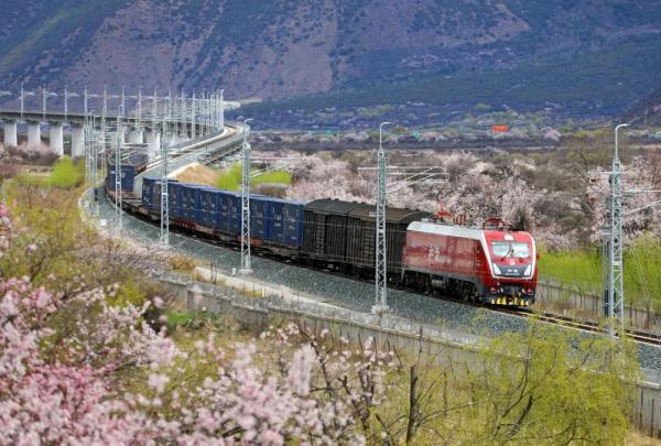 人間桃花源！林芝桃花有多絕？