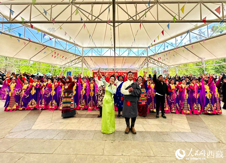 演出活動(dòng)結(jié)束。人民網(wǎng) 次仁羅布攝