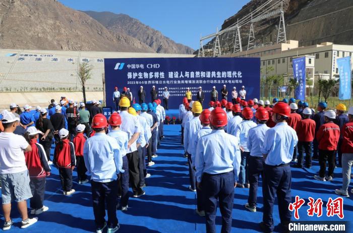 圖為蘇洼龍水電站魚類放流現(xiàn)場?！√K洼龍水電站供圖