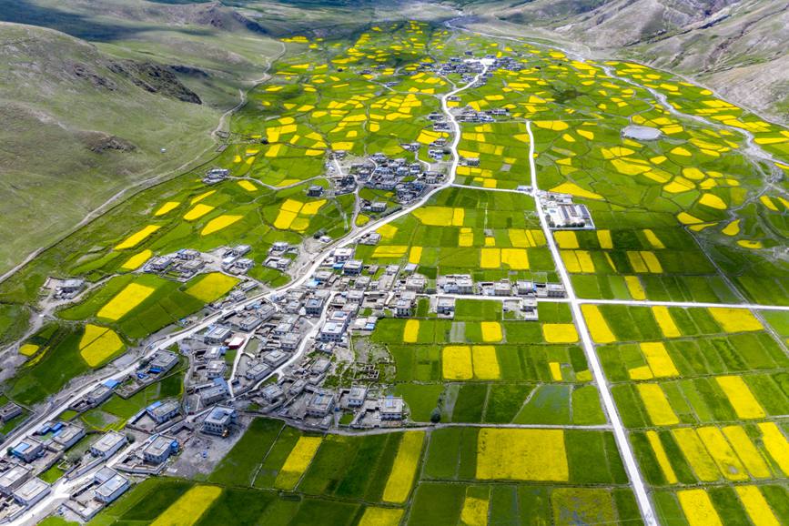 航拍道布龍村，依山傍水，阡陌縱橫。