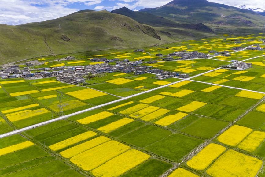 航拍道布龍村，依山傍水，阡陌縱橫。