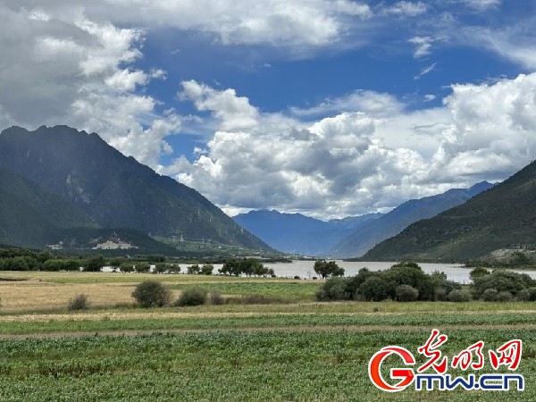 我們的家園｜林芝米林縣：河長(zhǎng)護(hù)藥洲，碧水映花谷