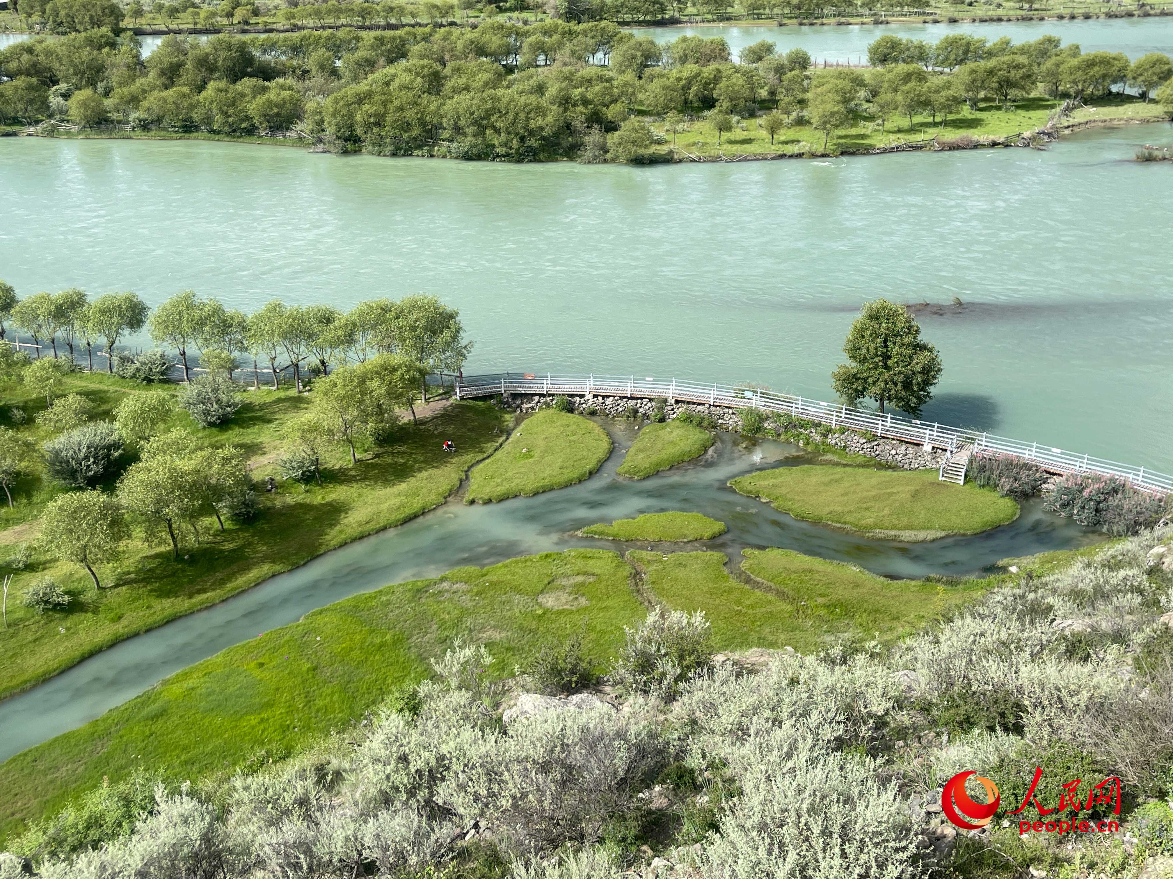 夏日的雅尼國家濕地公園生機(jī)盎然，如詩如畫。人民網(wǎng) 周靜圓攝