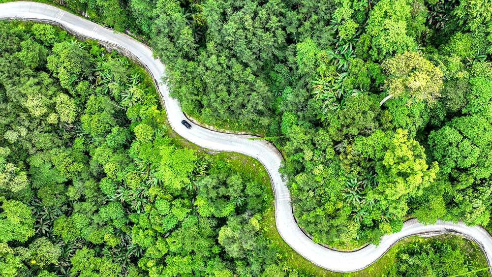 穿行于綠色間，生態(tài)優(yōu)良。張澤坤攝