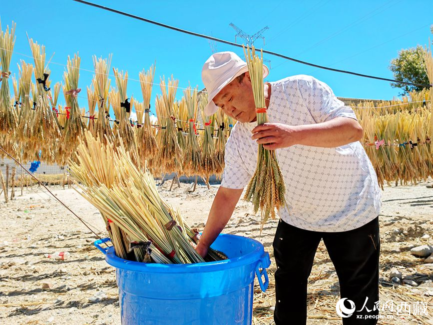 幸福生活曬出來。人民網(wǎng) 李海霞攝