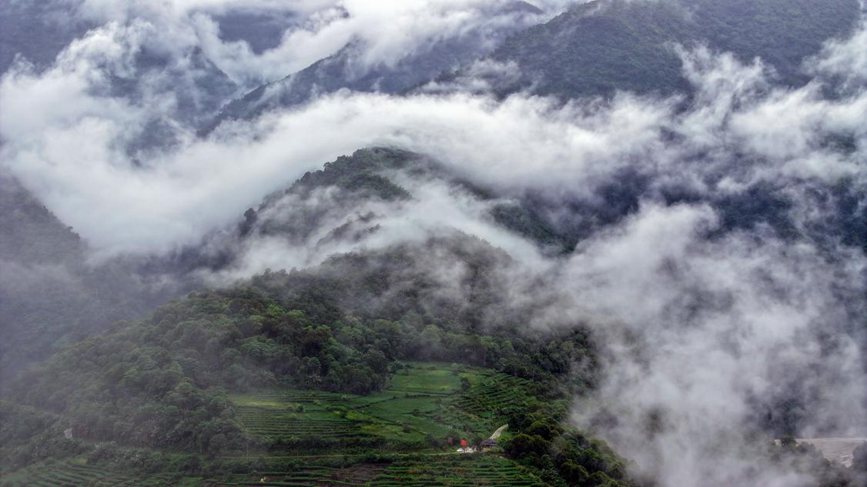 秋日里的墨脫云海。張澤坤攝