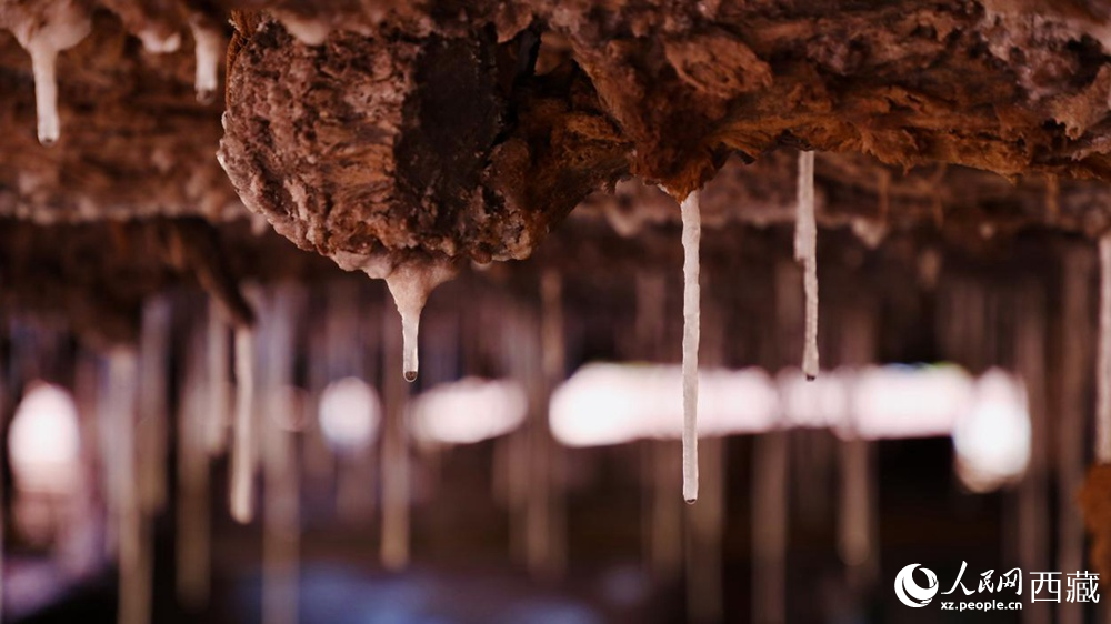 自然滲下的鹽柱結(jié)晶。人民網(wǎng)記者 次仁羅布攝