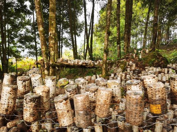 幾代建設(shè)者，歷經(jīng)半個(gè)多世紀(jì)完成！這是一條怎樣的公路？