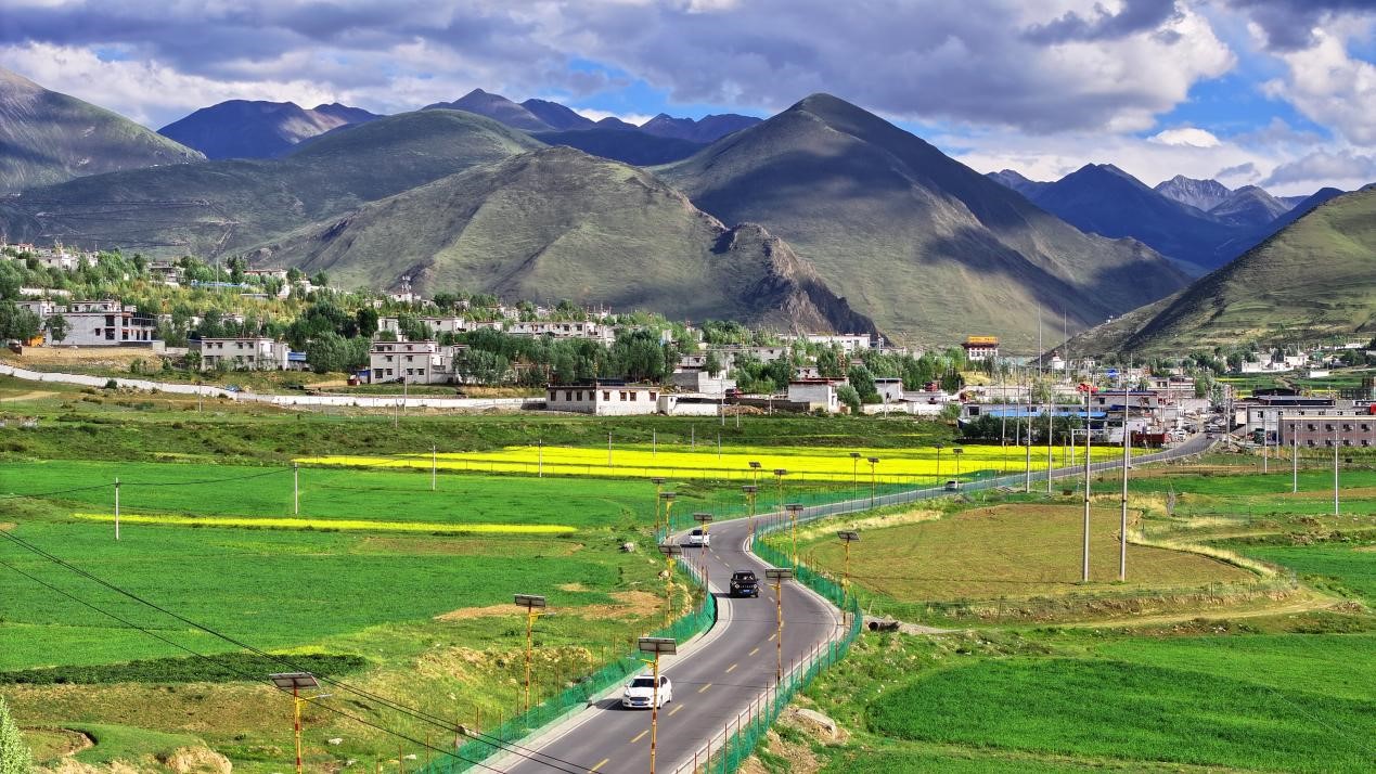 油菜花開“金”滿地。墨竹工卡縣委宣傳部 洛克攝