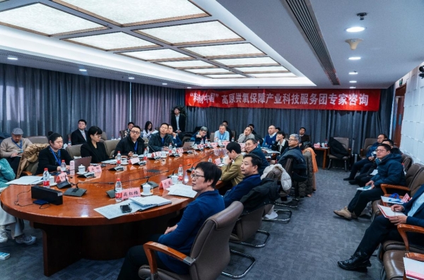 專家把脈西藏氧產業(yè)：高原旅游亟需突破“氧瓶頸”