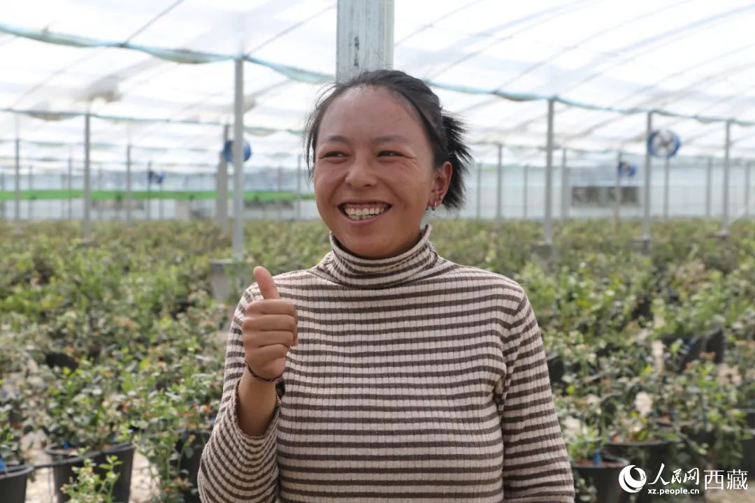 措姆品嘗自己精心照料的藍莓后，豎起了大拇指。次仁龍布攝