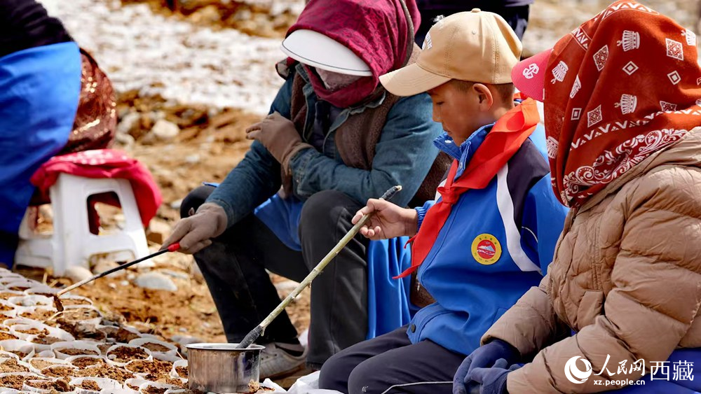 西藏定日：思政課“搬”進(jìn)育苗基地