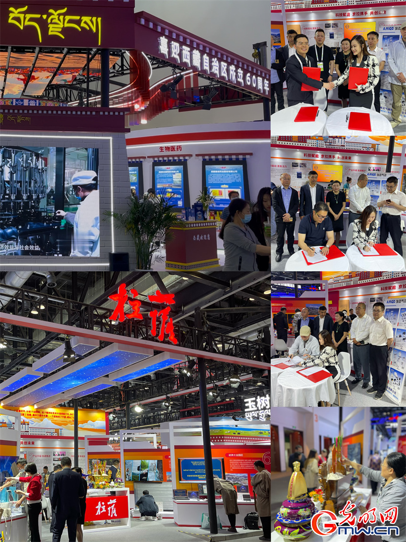 “京拉攜手”科技未來(lái)，科博會(huì)拉薩展館“首秀”成績(jī)亮眼