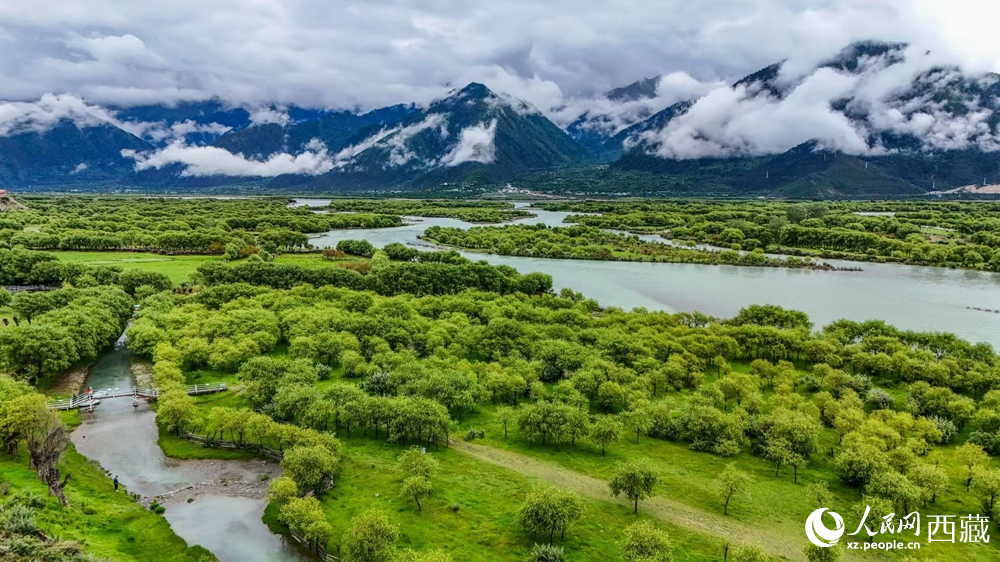 鳥瞰盛夏季節(jié)的雅尼濕地風(fēng)光。人民網(wǎng)記者 次仁羅布攝