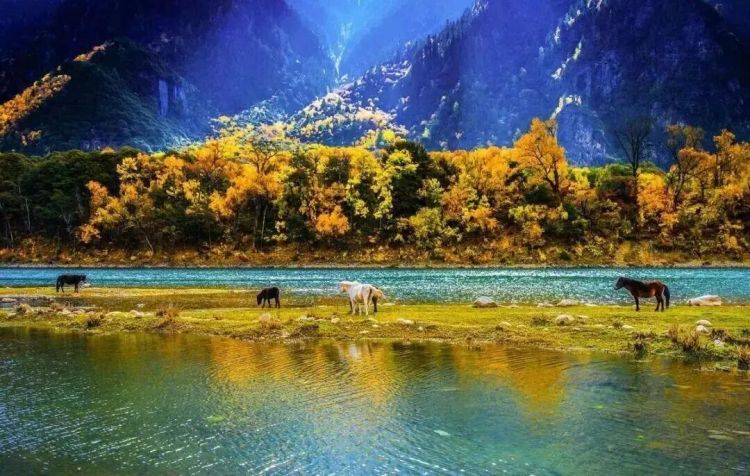 懂西藏的人，一定不會錯過林芝的秋天