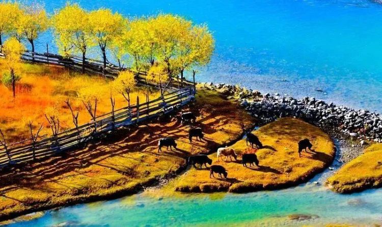 懂西藏的人，一定不會錯過林芝的秋天