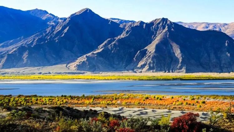 懂西藏的人，一定不會錯過林芝的秋天