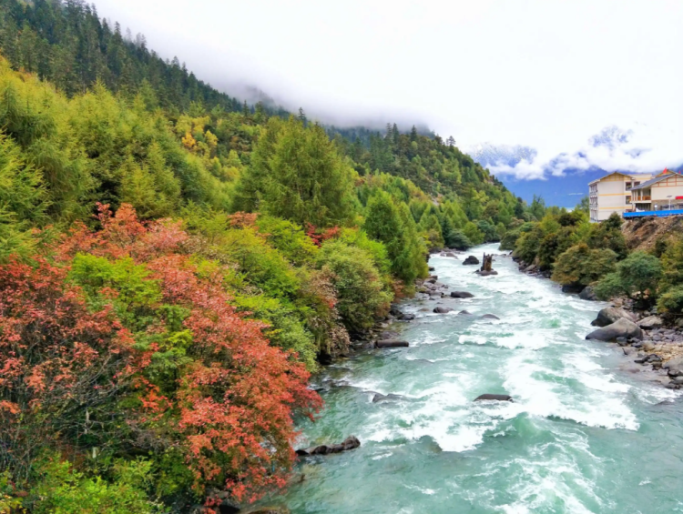 懂西藏的人，一定不會錯過林芝的秋天