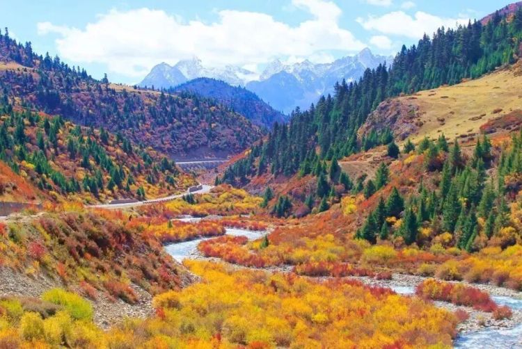 懂西藏的人，一定不會錯過林芝的秋天