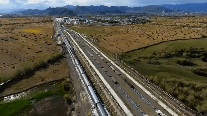 青稞“蛻變”，牦牛“出圈”！看西藏農(nóng)牧民的“十四五”豐收答卷