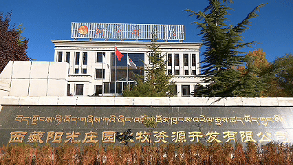 青稞“蛻變”，牦?！俺鋈Α?！看西藏農(nóng)牧民的“十四五”豐收答卷