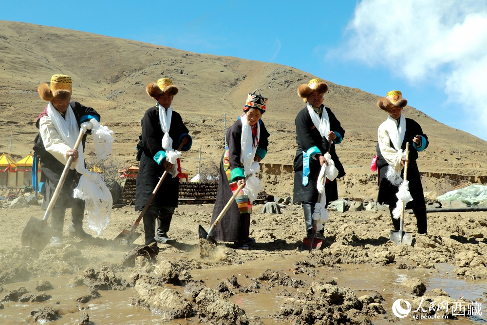 身著傳統(tǒng)服飾的拉東村村民手持鐵鍬疏通水道、引水灌溉，渠水奔涌入田，開啟春耕生產(chǎn)。人民網(wǎng)記者 吳雨仁攝