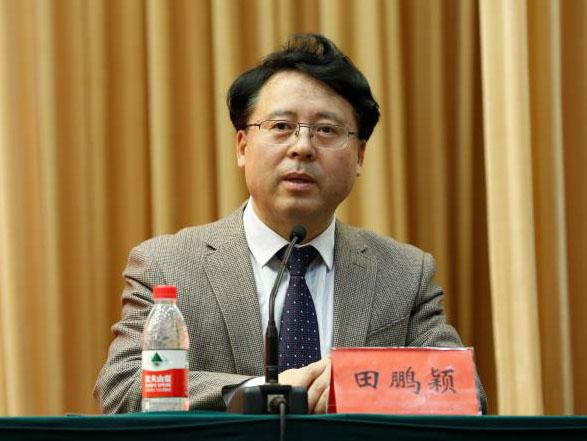 田鵬穎：投入其中、樂在其中、安身其中