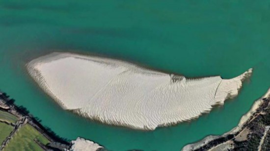 看！雅魯藏布江上有這樣一條“沙魚”