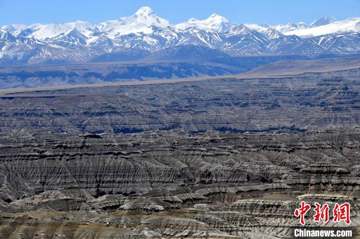 4月5日，西藏阿里札達(dá)土林?！±盍?攝