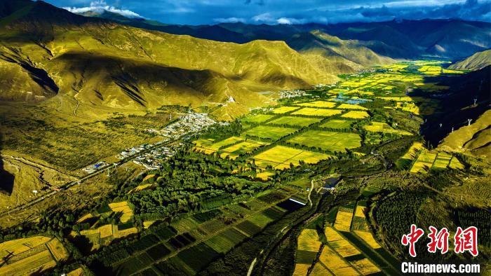 圖為山南雍布拉康附近農(nóng)田?！埼?攝