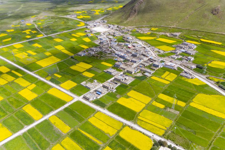 航拍道布龍村，依山傍水，阡陌縱橫。