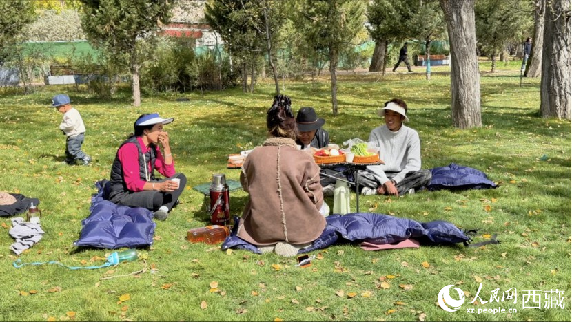 圖為市民在公園內(nèi)聚會。人民網(wǎng)記者 次仁羅布攝